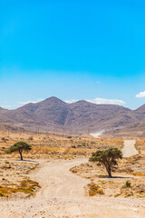 Arid landscape in the Richtersveld National Park