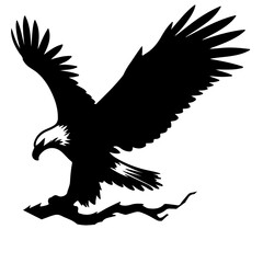 Obraz premium Fish Eagle Shallotte, vector , ilustrtation 