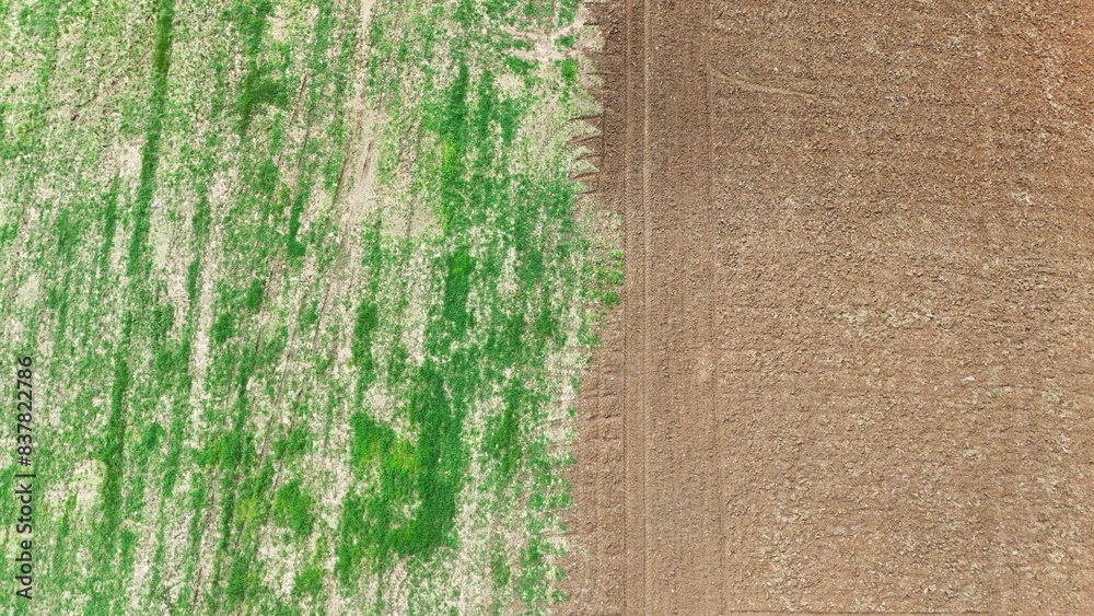 Wall mural Agriculture Fileds aerial view Thailand countryside		