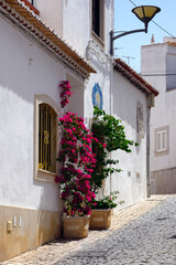 Lagos, Faro district, Algarve, Portugal, Europe - Bougainvillaea flowering trees in flowerpots in front of white wall house, narrow cobbled street in historic part of the city