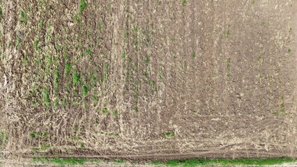 Agricultural Fileds aerial view Thailand countryside 