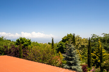 Garden in house yard