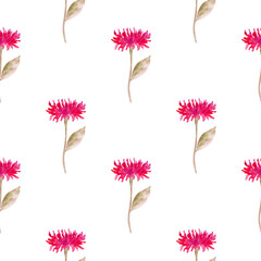 Seamless pattern of watercolor red flowers on a white background, hand-drawn. Botanical illustration for the design of packaging, paper, postcards, scrapbooking, fabrics, wrappers