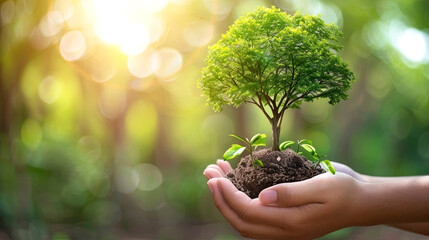 Experience the beauty of growth and sustainability with this vibrant photo of a tree
