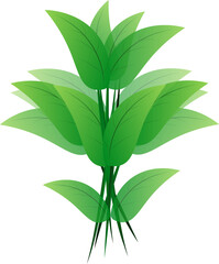 leaf green natural vector