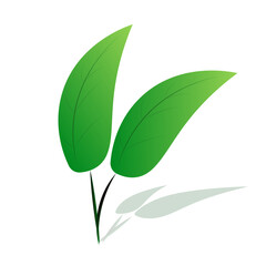 leaf green natural vector