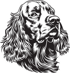 english Cocker Spaniel dog clipart, english Cocker Spaniel black vector