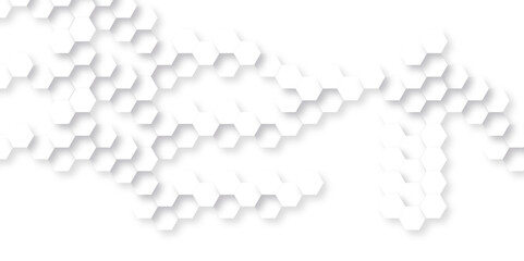 Abstract background with hexagon, modern abstract vector polygonal pattern. Futuristic abstract honeycomb technology white background. Luxury white hexagon pattern.