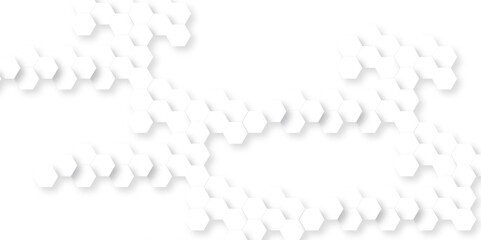 Abstract background with hexagon, modern abstract vector polygonal pattern. Futuristic abstract honeycomb technology white background. Luxury white hexagon pattern.