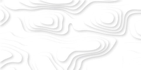Abstract white paper cut background with lines. Background of the topographic map. White wave paper curved reliefs abstract background. Realistic papercut decoration textured with wavy layers.