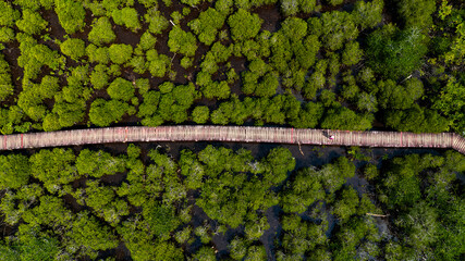Aerial view and top view of wooden bridge, mangrove forest walkway at Koh Chang,Trat,Thailand.