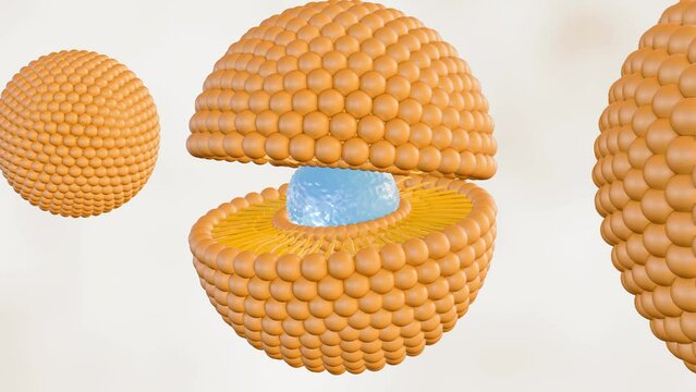 3d animation of compromised liposome releasing its contents. Magnified image of a liposome, showing leakage of its encapsulated material.