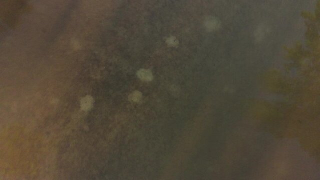 San Martin de Montalban y el Arroyo del Torcon en Toledo