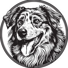 Obraz premium Australian Shepherd dog clipart, Australian Shepherd black vector
