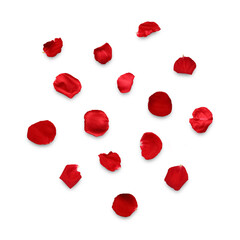 Fresh Red Rose Flower Petals Scattered on Transparent Background