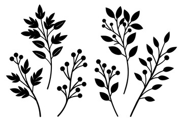 floral branch silhouette vector illustration