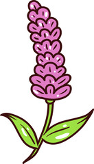 Lavender, hand-drawn flower icon.