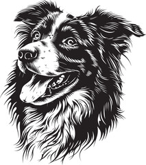 Australian Shepherd dog clipart, Australian Shepherd black vector