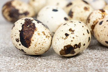 Obraz premium Quail eggs close-up on a gray background.