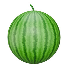 3D Watermelon Fruit