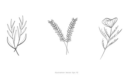 Collection set Minimal drawn floral leaves botanical line art Hand drawn leaves line Floral branch , Minimal line art drawing for print on white background, Vector illustration EPS 10