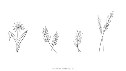 Collection set Minimal drawn floral leaves botanical line art Hand drawn leaves line Floral branch , Minimal line art drawing for print on white background, Vector illustration EPS 10