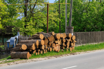 A pile of logs is stacked on the side of a road