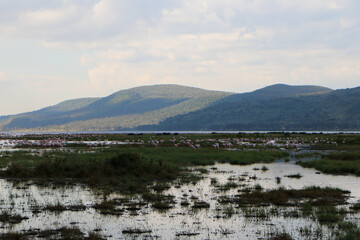 lake in the mountains