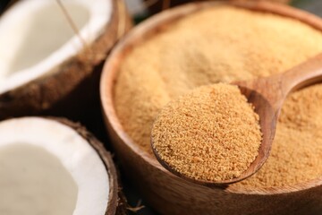 Spoon with coconut sugar, bowl and fruits, closeup