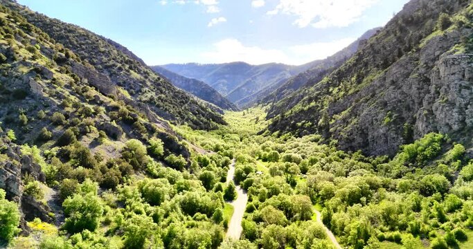 Drone cinematic shot of trail surrounded by greenery thru rocky mountains on a sunny day in Utah
