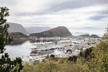 Widok ze wzgórza w Alesund, Norwegia © neskama