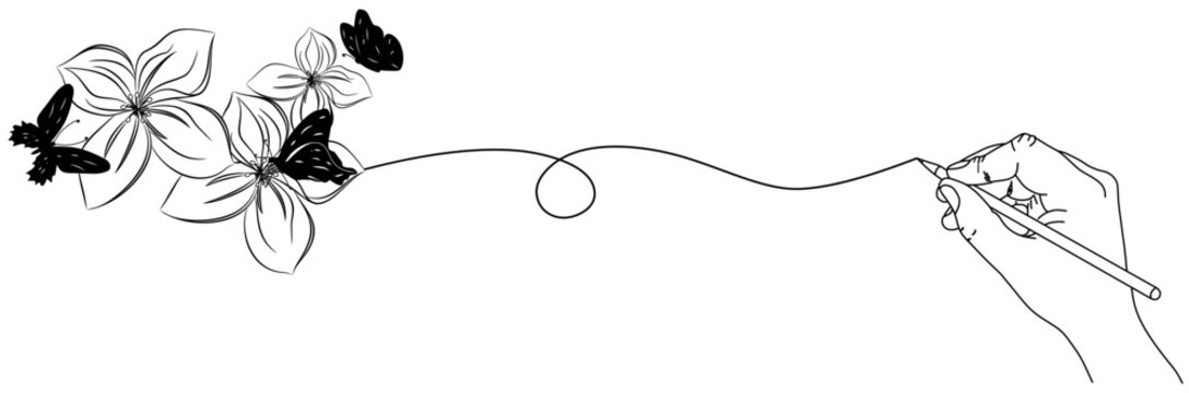 drawing flower and batterfly with line art style 