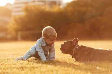 Illuminated by sunlight. Cute little boy is with dog on the field