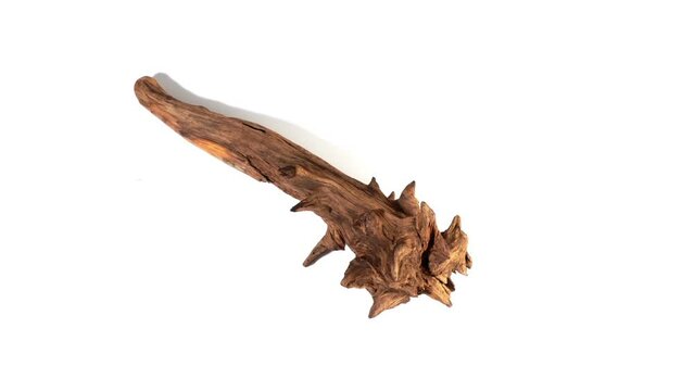 Wooden Stone Age Club swinging - Turn around