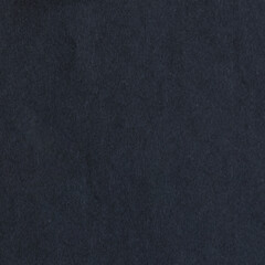 Black paper texture background. Black blank page