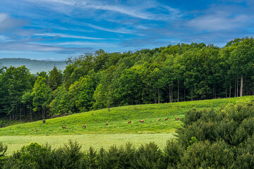 Landscape withe Hills, Trees and Clouds