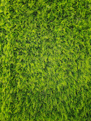 Real plastic artificial leaf green wall decorate interior in veticle wide side with blur background