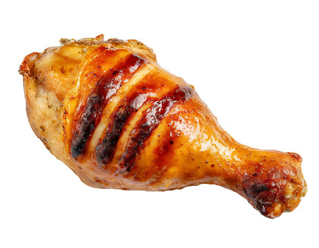 a single grilled chicken drumstick