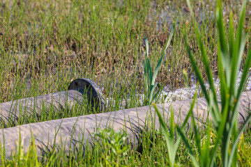 Water pours from the pipe on the grass
