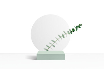Botanical png product display, Eucalyptus leaves