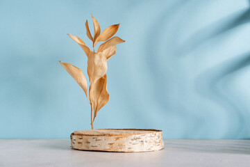 Wooden pedestal, podium with dry white and brown leaves