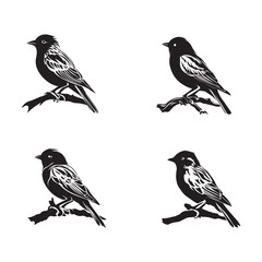 Fototapeta premium Collection Set of bird silhouettes. Vector illustration.