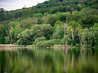 Bäume spiegeln sich im See
