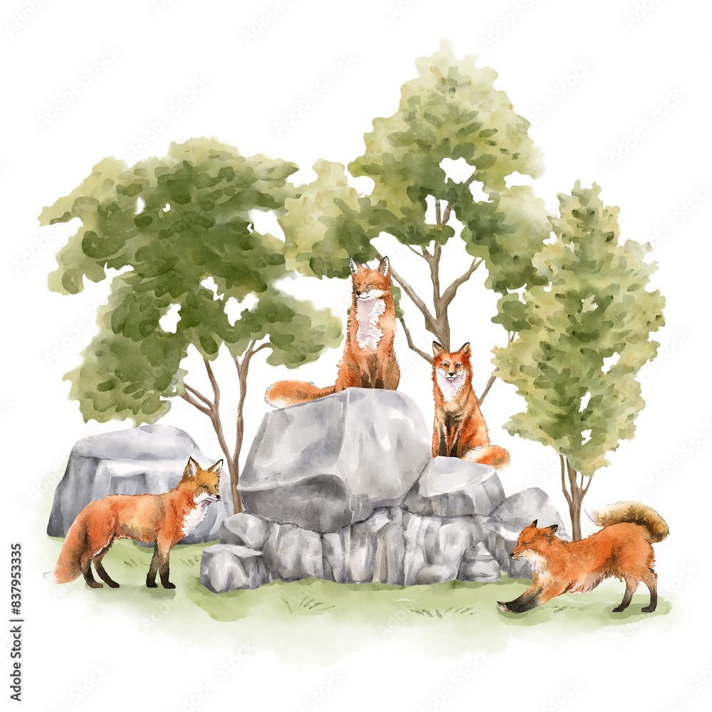 Wall mural Fox watercolor png, nature collage element, transparent background - Wall murals
