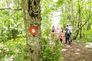 Hiking Trail Sign On Tree, Blurred People Walking Through Forest In Background