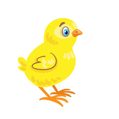 Cute little yellow chicken. Isolated on white background. Vector flat illustration.
