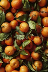 Freshly picked oranges with lush green leaves, perfect for decoration or still life photography