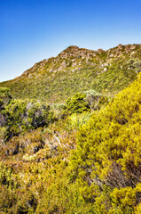 From the trail to Lake Osborne, Hartz Mountain National Park, Tasmania, Australia