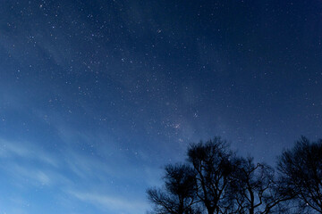 Naklejka premium Stars at dawn