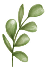 Hand drawn green leaves transparent png